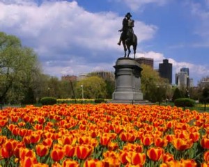 Park Boston Commons