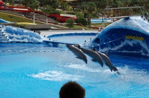 aqualand santa cruz de la sierra