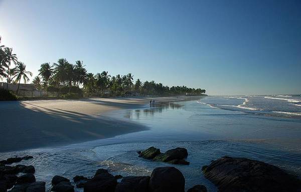 ilha de itapitanga