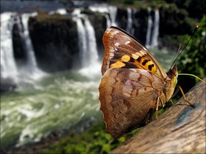 parque nacional do iguaçu