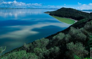 parque nacional ichkerul