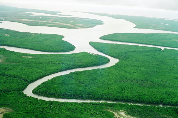 Foto de um rio do Pantanal 