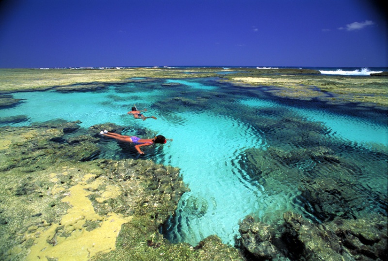 Atol das Rocas (Foto: Reprodução)