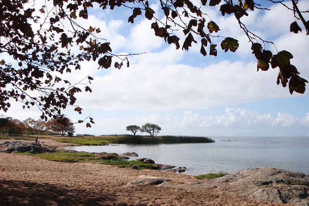 Praia Barrinha (Foto: Reprodução)