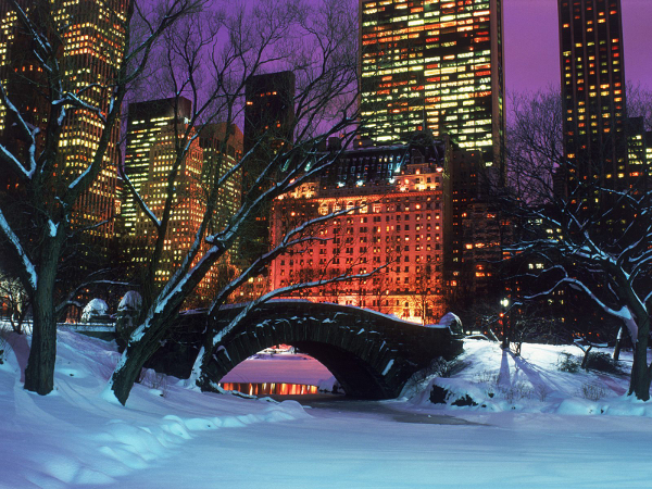 Um dos ambientes mais prazerosos de Nova York, o Central Park é perfeito para atividades relaxantes 