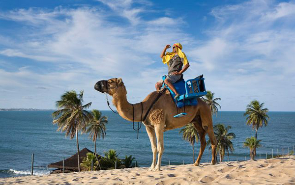 A Praia do Genipabu possui camelos como atração, para quem deseja fazer belas fotografias. 