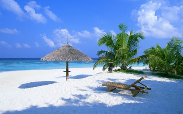 Os coqueiros estão por toda parte, ambientando o lugar e dando ainda mais brilho a Cancún