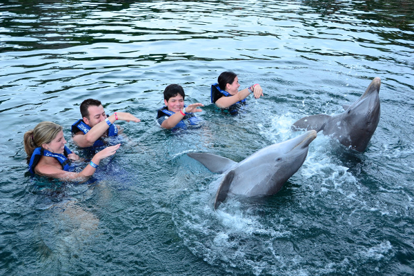 Nadar com os golfinhos, além de ser uma das atrações mais prazerosas, faz um bem enorme a saúde