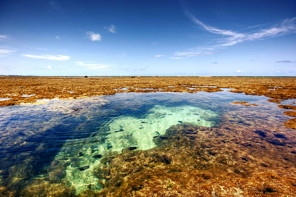 Porto de Galinhas (Foto: Reprodução)