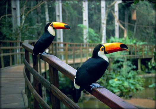 Pontos turísticos de Foz do Iguaçu