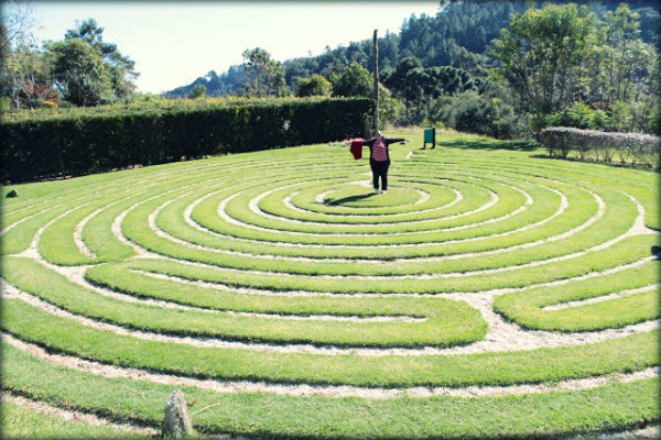 Dicas de passeio em Campos do Jordão