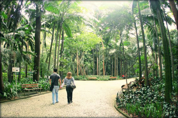 Passeios pela Avenida Paulista