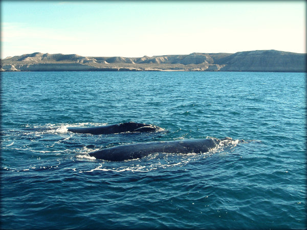 As belezas escondidas da Patagônia