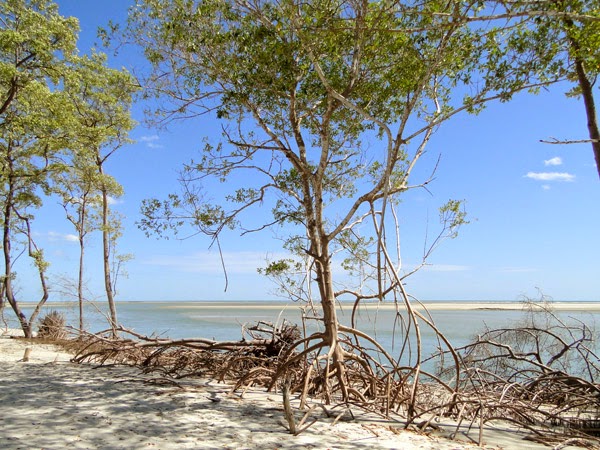 Pontos turísticos de Jericoacoara