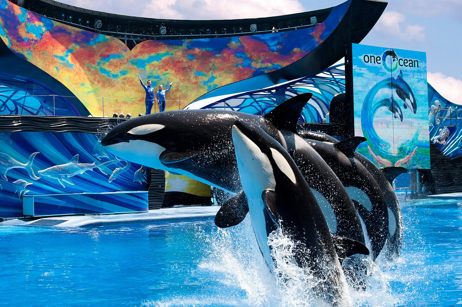 SeaWorld e Aquatica