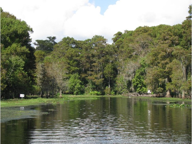 Pontos turísticos de Orlando