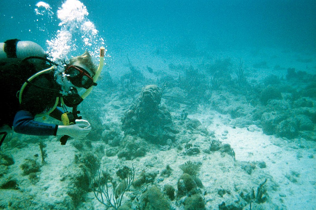 Pontos turísticos de Aruba