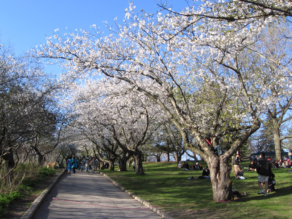 Pontos turísticos de Toronto