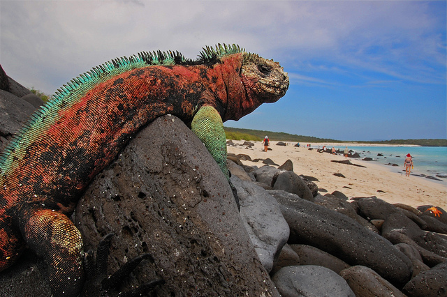 Pontos turísticos de Galápagos