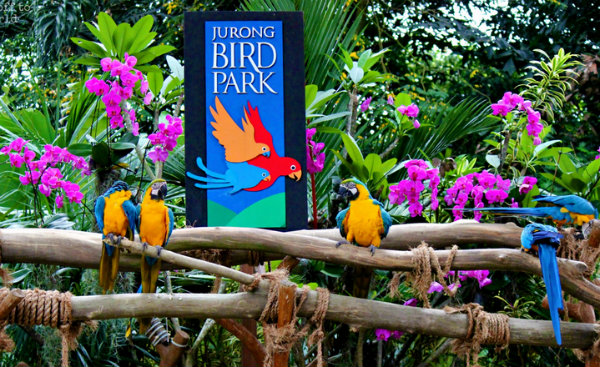 Pontos turísticos de Singapura