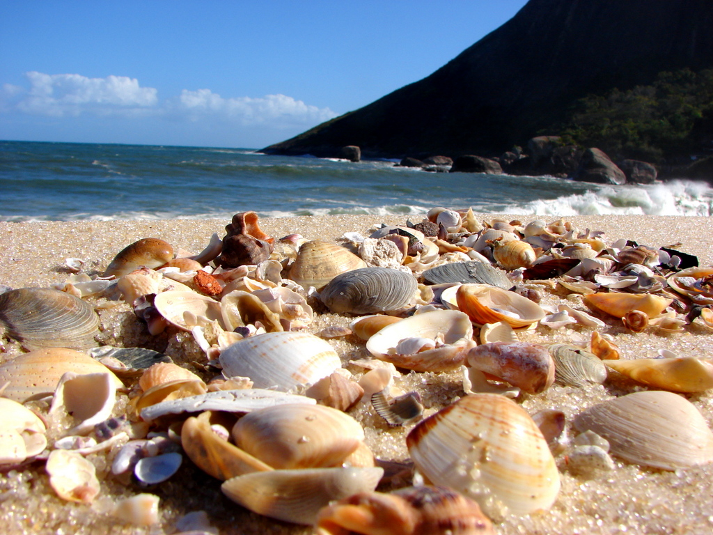 Pontos turísticos de Paranaguá