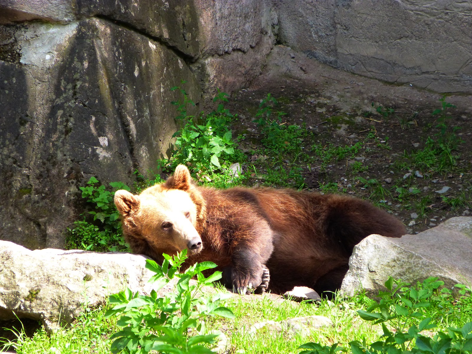 Skansen: um museu a céu aberto