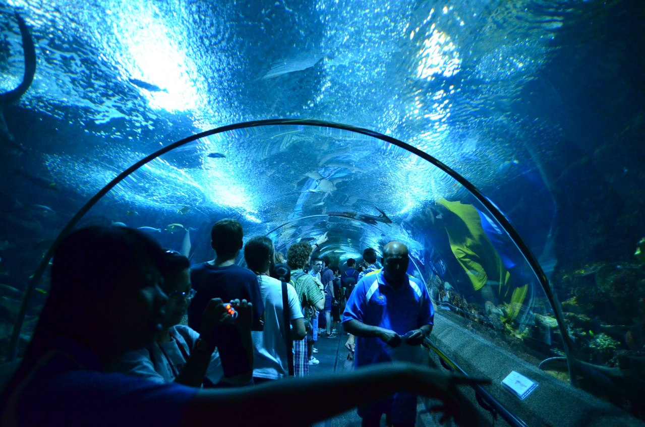 Pontos turísticos de Singapura